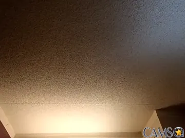 Treemandude’s Stripchat Profile Image