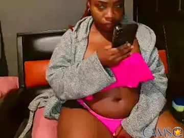 WildSeduction24xx’s Stripchat Profile Image
