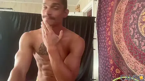wolfblazer5’s Stripchat Profile Image