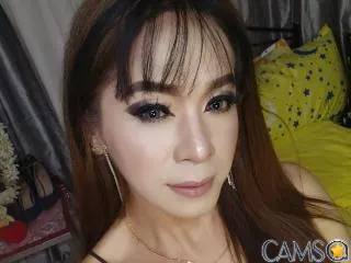 KassandraHotTS’s XloveCam Profile Image
