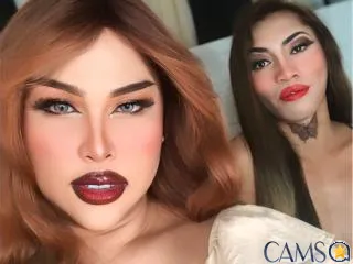 TransFavoriteDuo’s (XloveCam) Photo