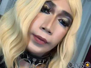 WildYuriHotCum’s XloveCam Profile Image